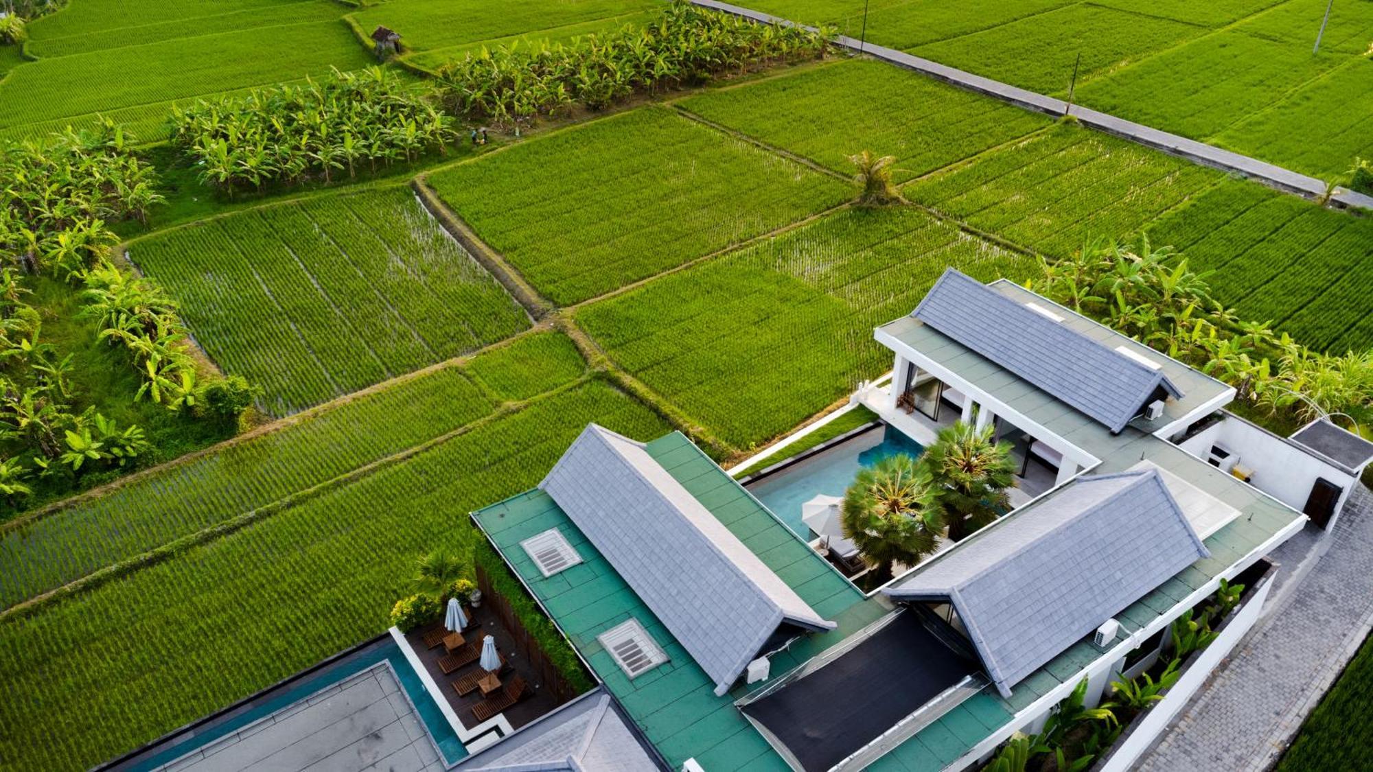 Villa Lina By Balisuperhost Ubud Eksteriør billede